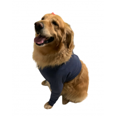 Protetores P/ Membros Anteriores N.0 